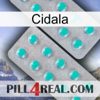 Cidala 29